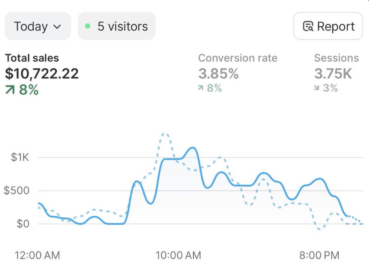 Genuine Shopify sales screenshot 04 supplied by ECOMMAXADS.