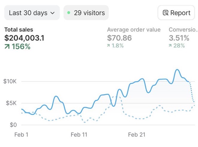 Genuine Shopify sales screenshot 08 supplied by ECOMMAXADS.