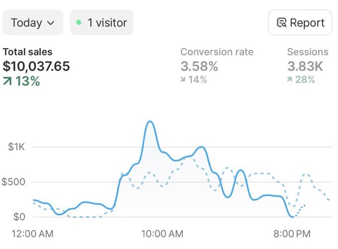 Genuine Shopify sales screenshot 06 supplied by ECOMMAXADS.